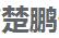 深圳市楚鹏代理记账有限公司
