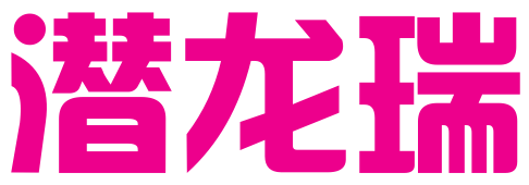 重庆潜龙瑞知识产权代理有限公司