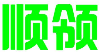 河南顺领电子商务有限公司