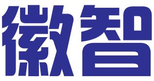 安徽徽智知识产权服务有限公司