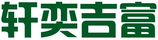 济南轩奕吉富信息科技有限公司