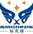 西安标先锋知识产权服务有限公司
