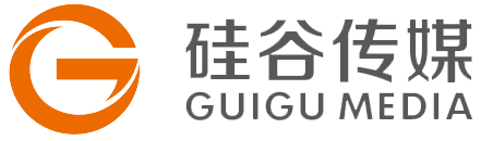 广东硅谷传媒有限公司