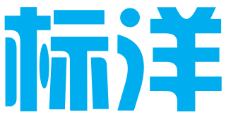 重庆标洋网络有限公司