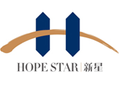 湖南新星知识产权代理有限公司