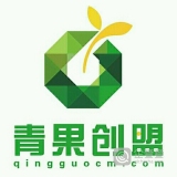 江苏青果创盟商务服务有限公司