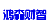 河北鸿森财智信息技术有限公司
