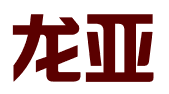龙亚知识产权服务河北有限公司
