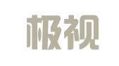 广东极视律师事务所
