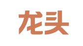 山东龙头律师事务所