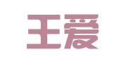 河南王爱学律师事务所