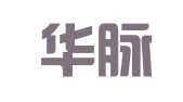新疆华脉鸿志科技服务有限责任公司