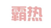 新疆霸热帕企业服务有限公司