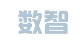 天津数智律师事务所