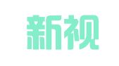 陕西新视野人才交流有限公司
