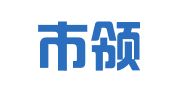 深圳市领仕人才咨询服务有限公司