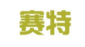 上海赛特人才信息咨询有限公司