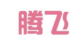 湖北腾飞人才股份有限公司东西湖分公司