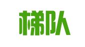 深圳梯队人才培训有限公司