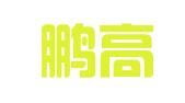 南京鹏高人力资源管理咨询有限公司