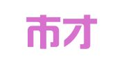 天津市才迪企业人力资源服务有限公司