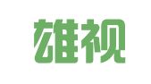湖北雄视律师事务所