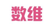 湖北数维律师事务所