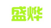 上海盛烨国际物流有限公司