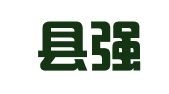 定南县强华机动车检测有限公司