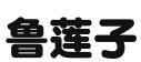 上海标观察知识产权服务有限公司