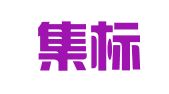 浙江集标知识产权服务有限公司