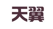 南京天翼专利代理有限责任公司