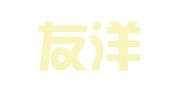 武汉友洋信译翻译咨询有限公司