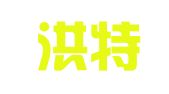 武汉洪特电气科技有限公司