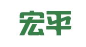 砀山宏平代理记账有限公司