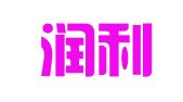 济南润利代理记账有限公司