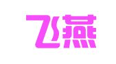 济南飞燕代理记账有限公司