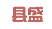 商河县盛世互联网络科技工作室