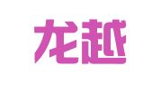 陕西龙越网络有限公司