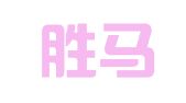 上海胜马听江知识产权代理事务所（普通合伙）