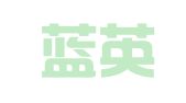 沈阳蓝英出国信息咨询有限公司