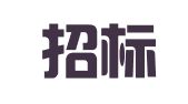 山东招标股份有限公司