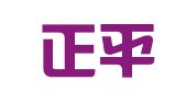 新疆正平招标代理有限公司
