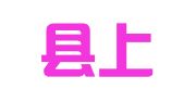 肥西县上派镇傅金鸾驾校服务部