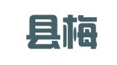 闽清县梅城青商财务会计咨询服务所