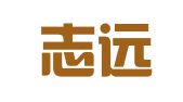 武汉志远大财务软件有限公司