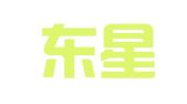 江西东星电子财务技术有限公司