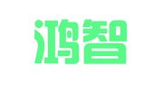 武汉鸿智财务咨询代理有限公司