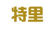 北京特里尔翻译工作室