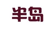 重庆半岛财务咨询服务有限公司